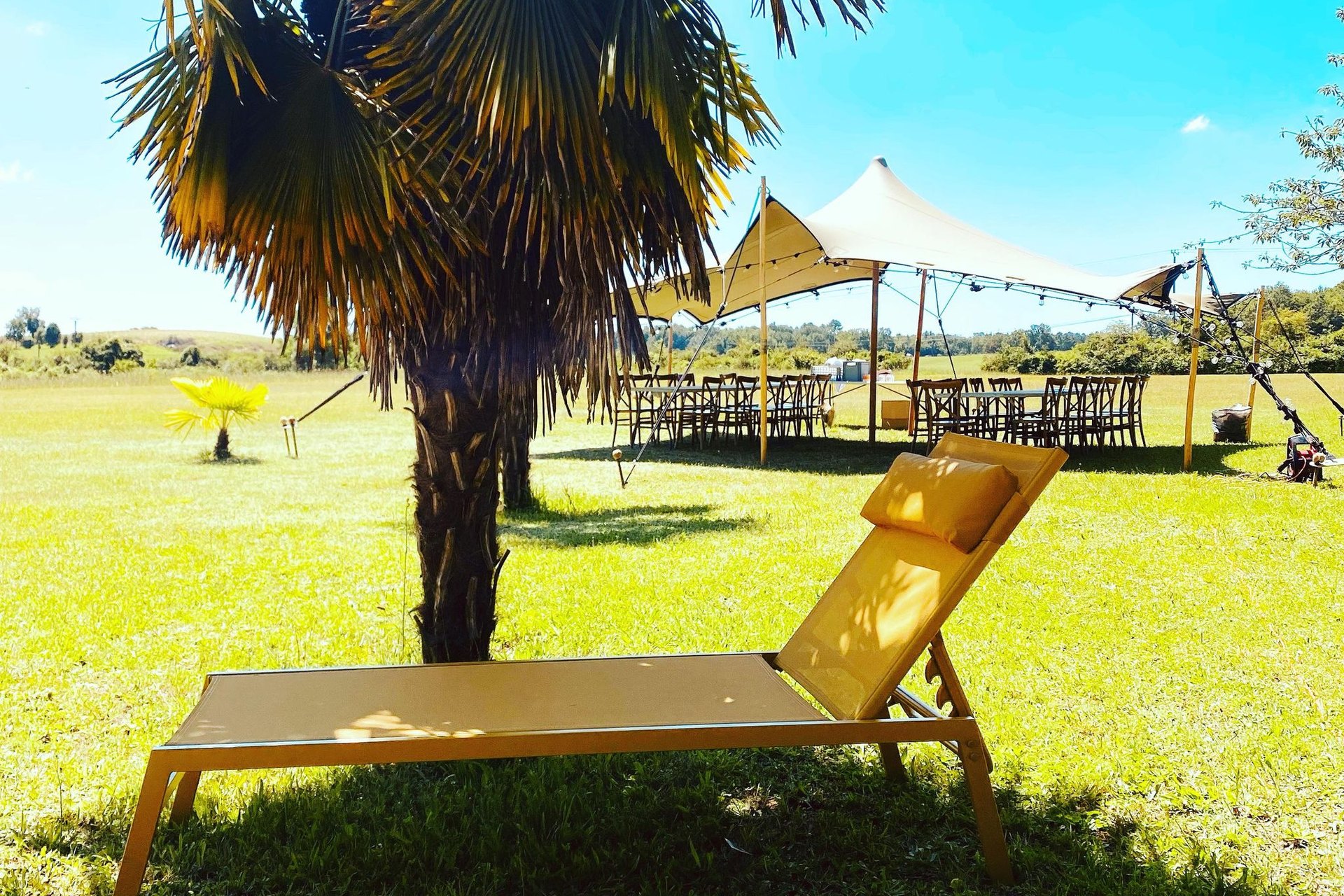 A yellow sun lounger under a palm on the château lawn in bright summer light